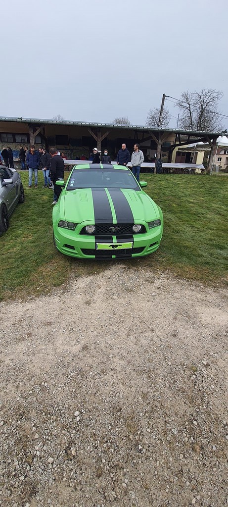 Mustang verte 